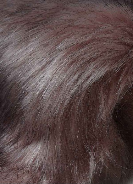 Syekd Sincerity Faux Fur Wrap Syekd Sincerity Faux Fur Wrap