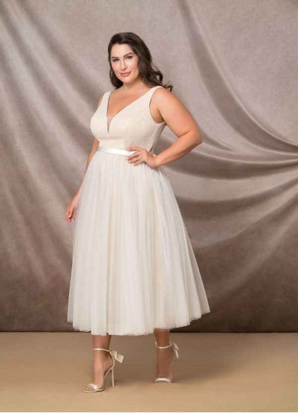 Syekd Windsor BG