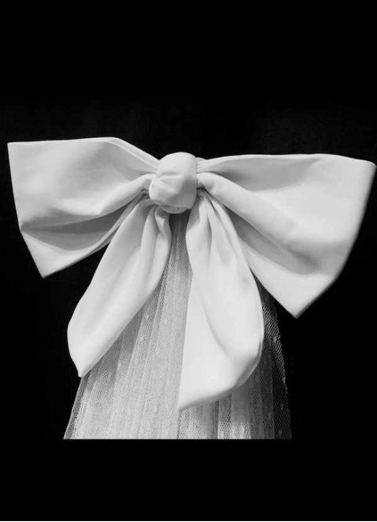 Regina Veil Regina Veil