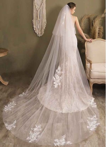 Swan Veil