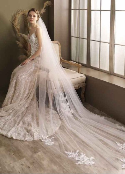 Swan Veil Swan Veil