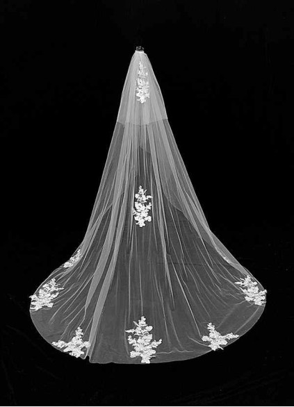 Swan Veil Swan Veil
