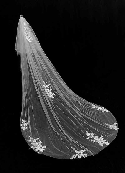 Swan Veil Swan Veil