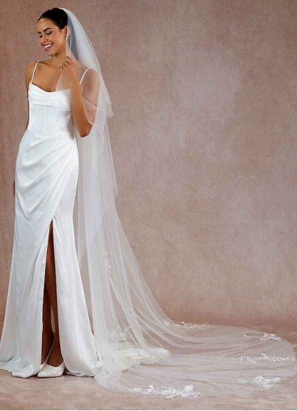 Swan Veil Swan Veil