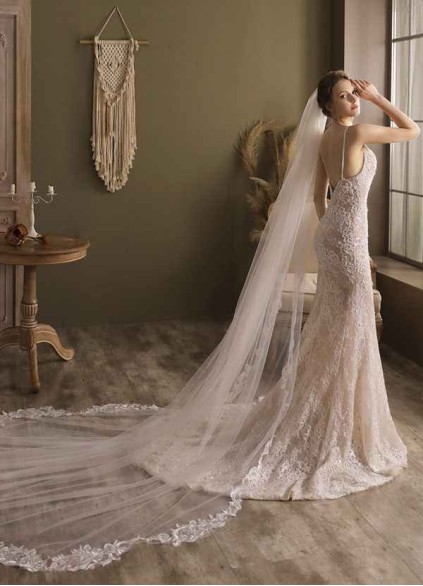 Maria Veil Maria Veil