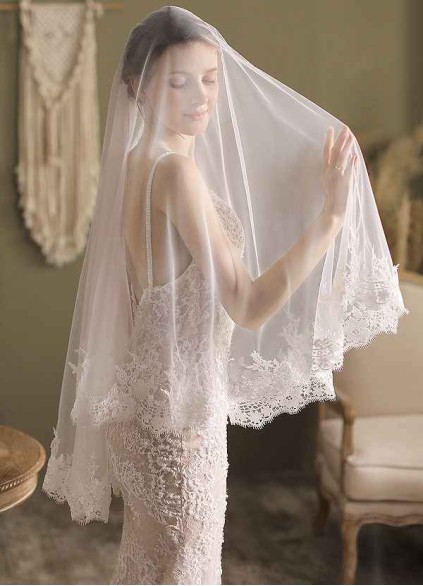 Amelia Veil Amelia Veil