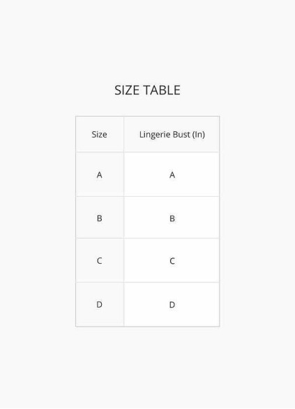 Convertable Plunge Bra Convertable Plunge Bra